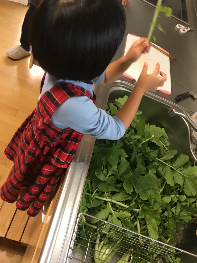 f:id:aohana:20191117201310j:image f:id:aohana:20191117201310j:image