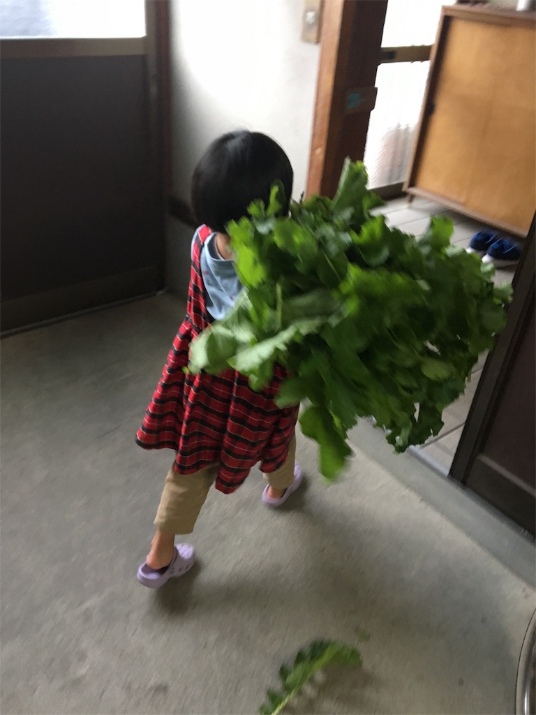 f:id:aohana:20191117201315j:image f:id:aohana:20191117201315j:image