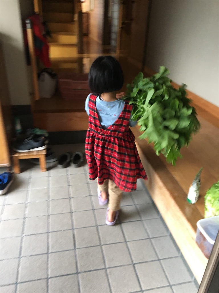 f:id:aohana:20191117201320j:image f:id:aohana:20191117201320j:image