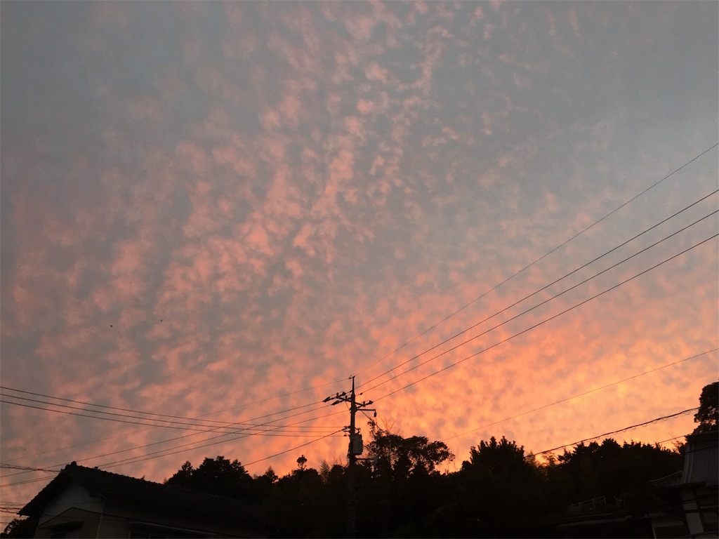 f:id:aohana:20191122201140j:image
