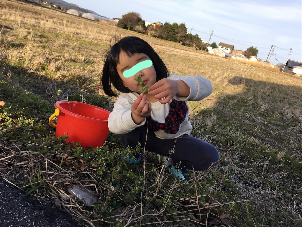 f:id:aohana:20200224221935j:image