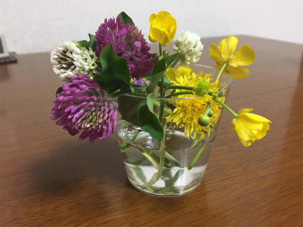 f:id:aohana:20200430183937j:image