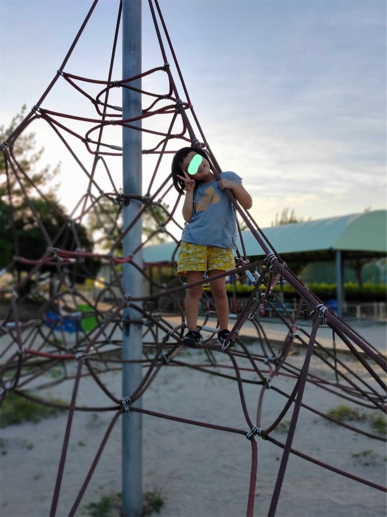 f:id:aohana:20200815220325j:image f:id:aohana:20200815220325j:image