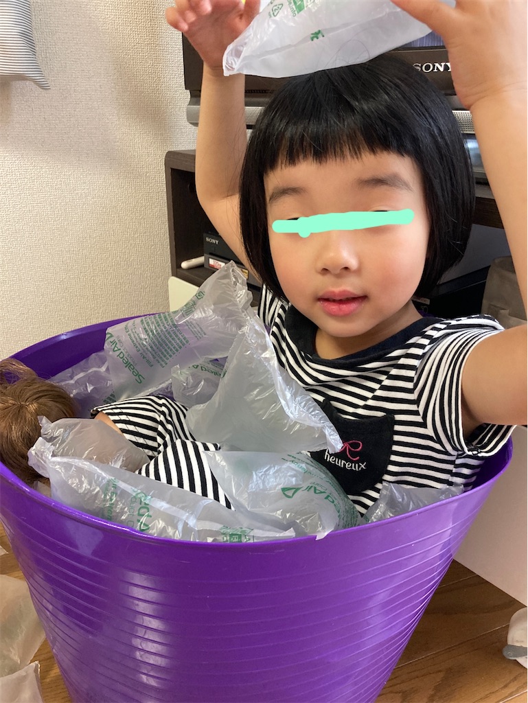 f:id:aohana:20200818220943j:image
