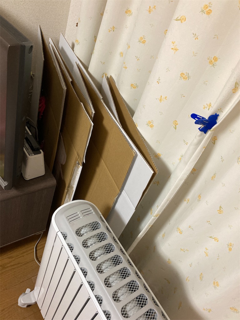 f:id:aohana:20201228224307j:image