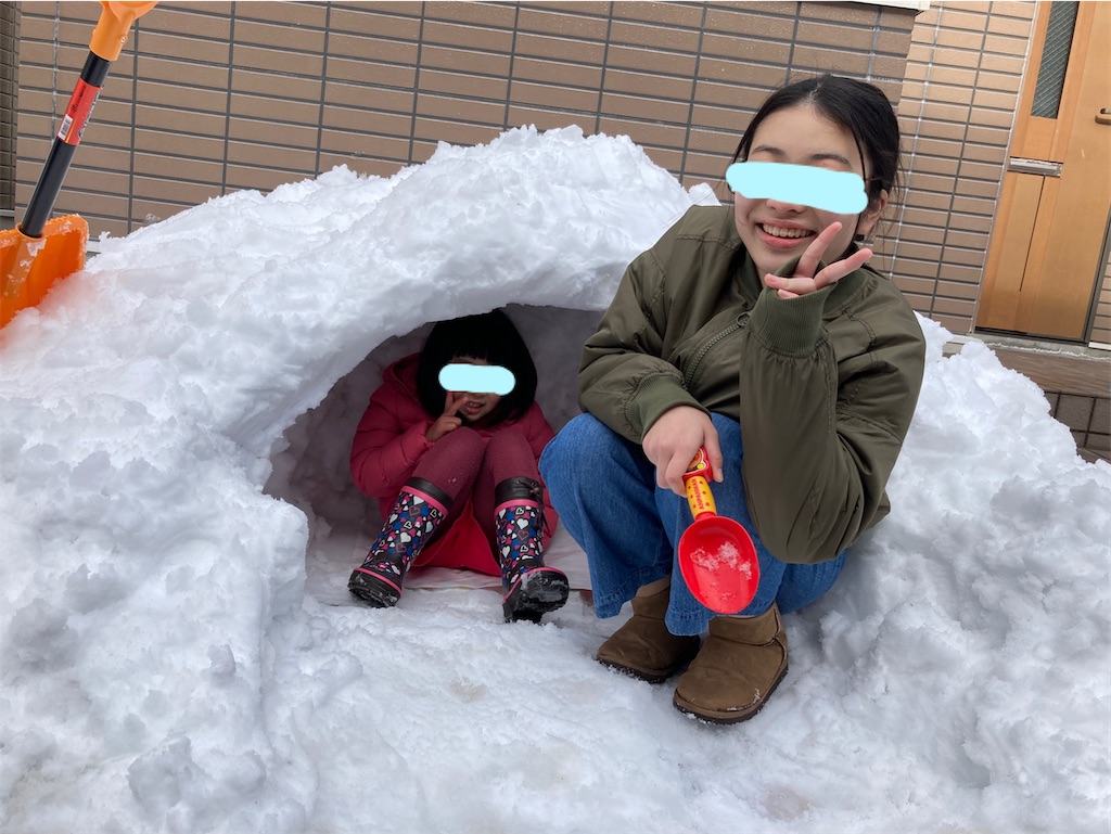 f:id:aohana:20210101233229j:image