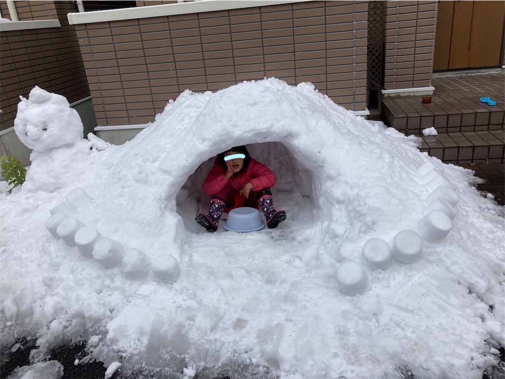 f:id:aohana:20210101233232j:image