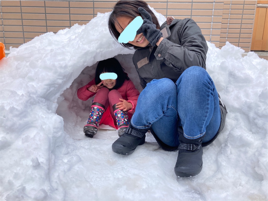 f:id:aohana:20210101233236j:image
