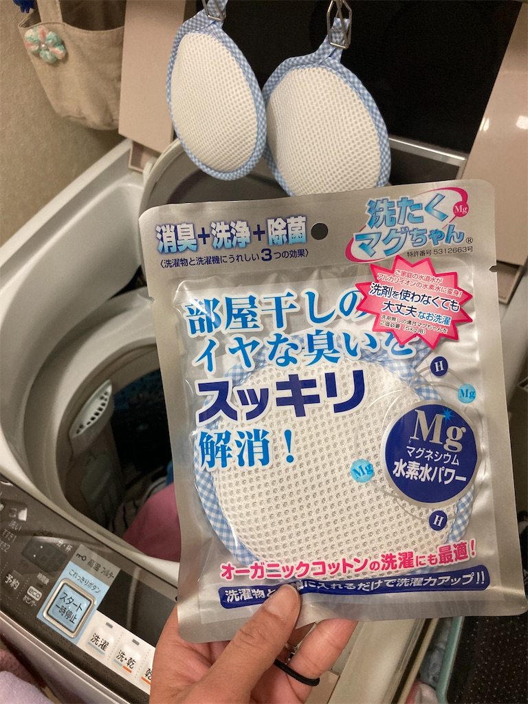 f:id:aohana:20210403201351j:image