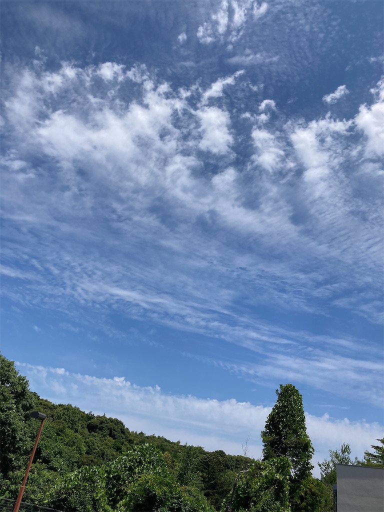 f:id:aohana:20210622214450j:image f:id:aohana:20210622214450j:image