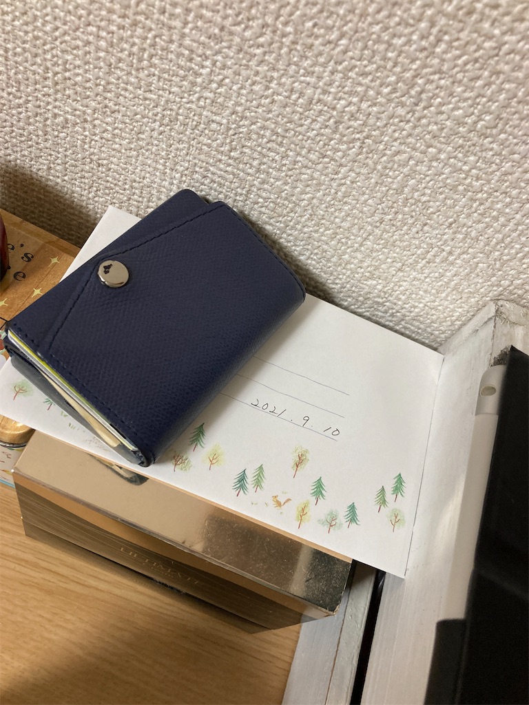 f:id:aohana:20210911205821j:image