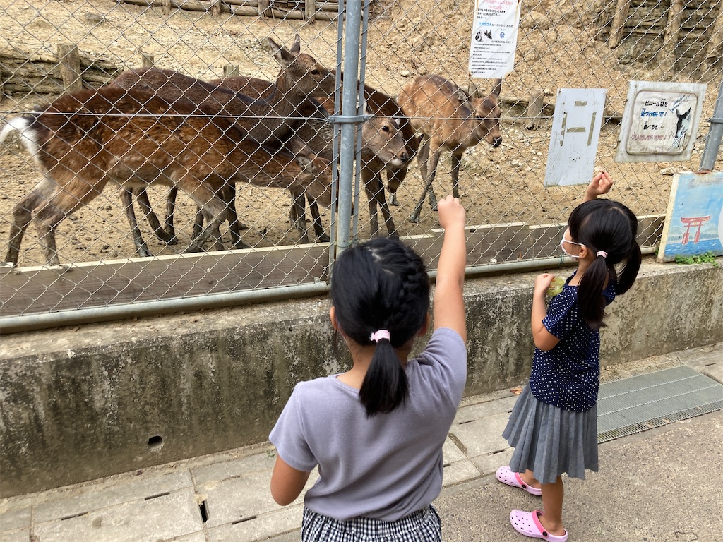 f:id:aohana:20210926173304j:image f:id:aohana:20210926173304j:image