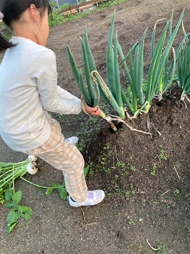 f:id:aohana:20211114214427j:image