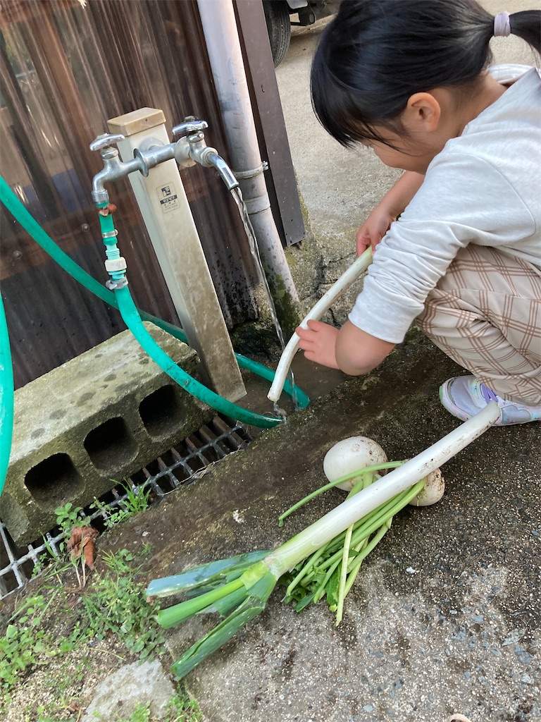 f:id:aohana:20211114214430j:image