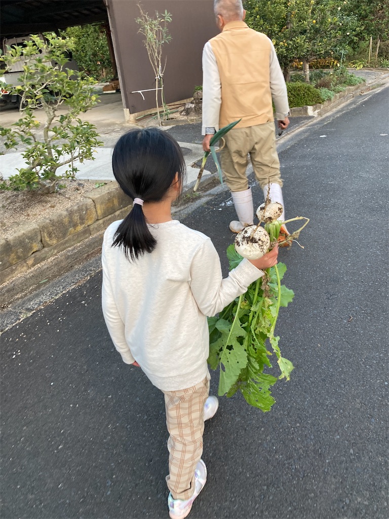 f:id:aohana:20211114214434j:image