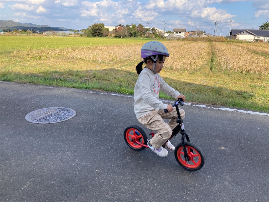 f:id:aohana:20211114215349j:image