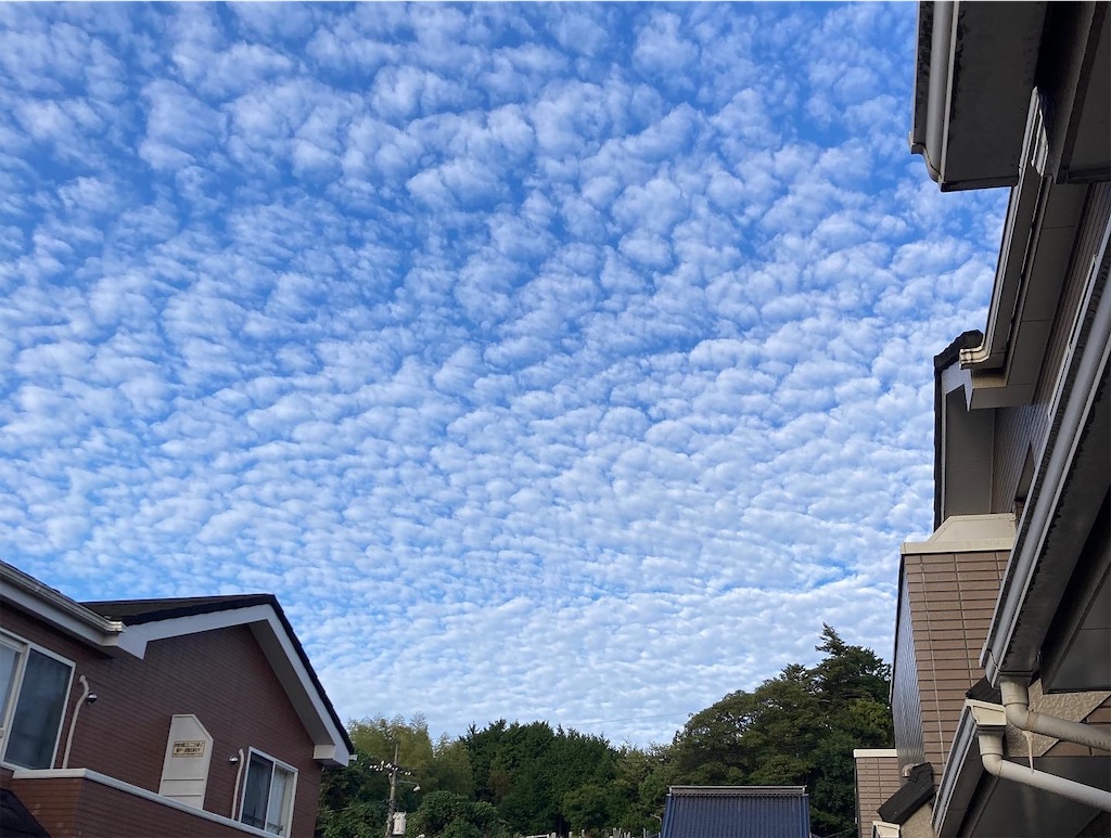 f:id:aohana:20221021212550j:image