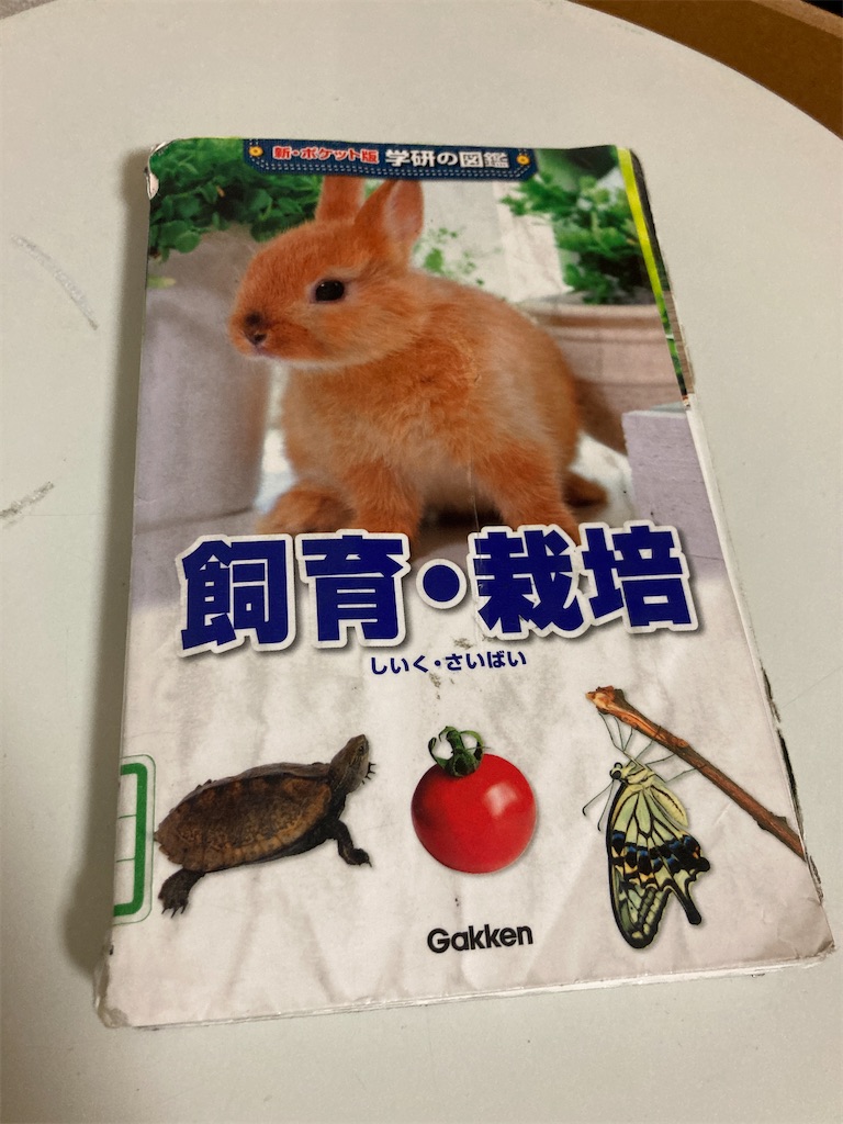 f:id:aohana:20230121232442j:image