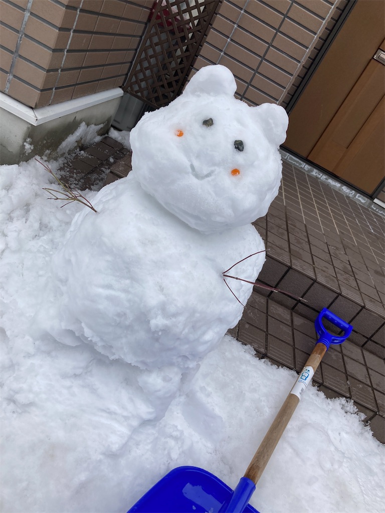 f:id:aohana:20230126173058j:image
