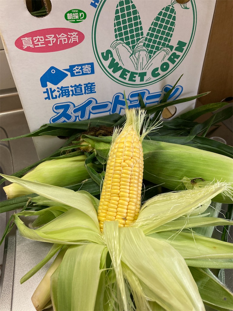 f:id:aohana:20230831132309j:image