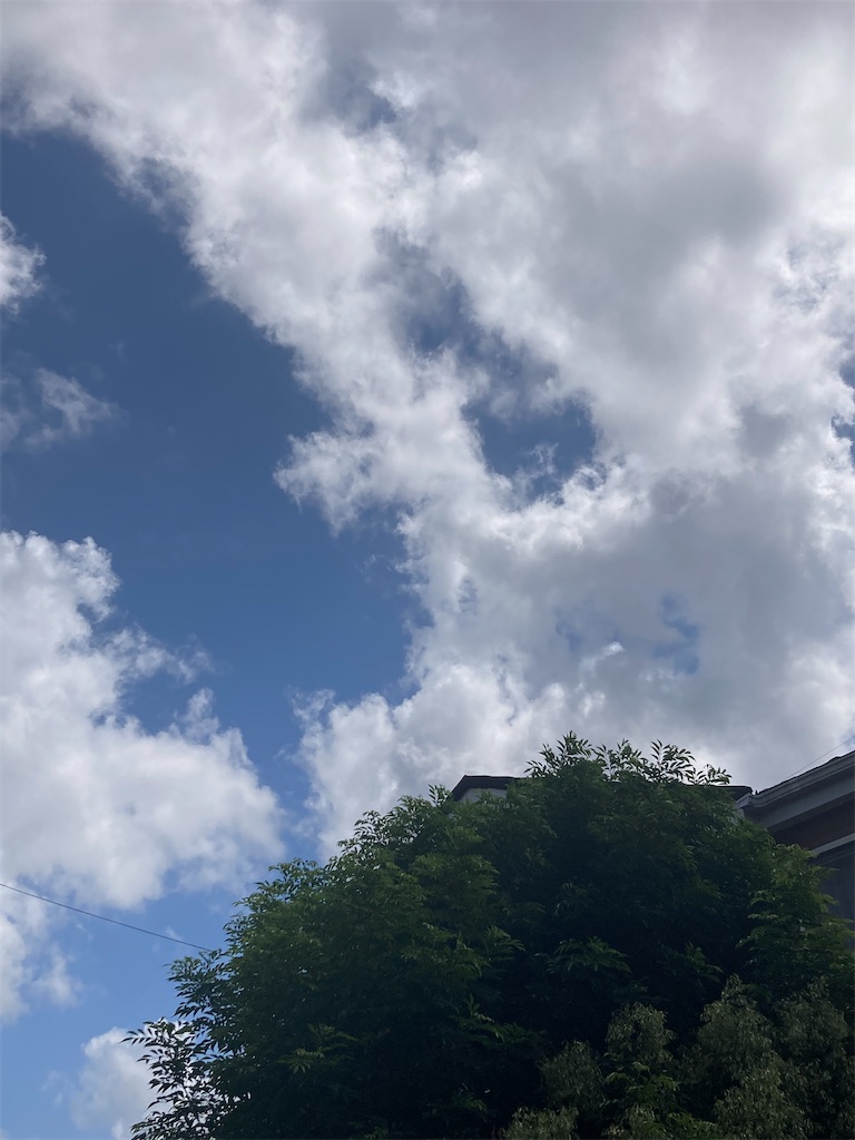 f:id:aohana:20230907122401j:image