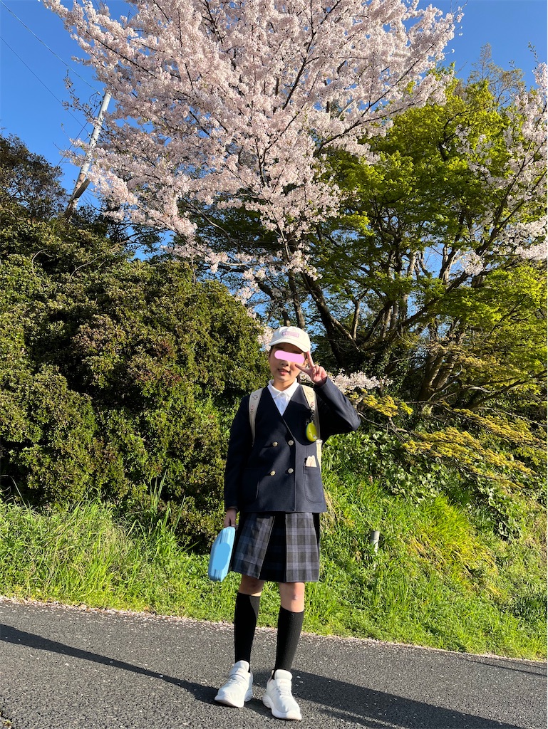 f:id:aohana:20240410102008j:image