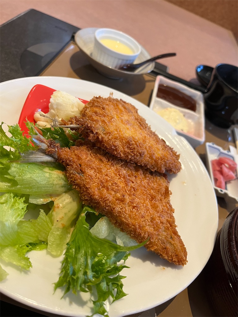 f:id:aohana:20240617112226j:image
