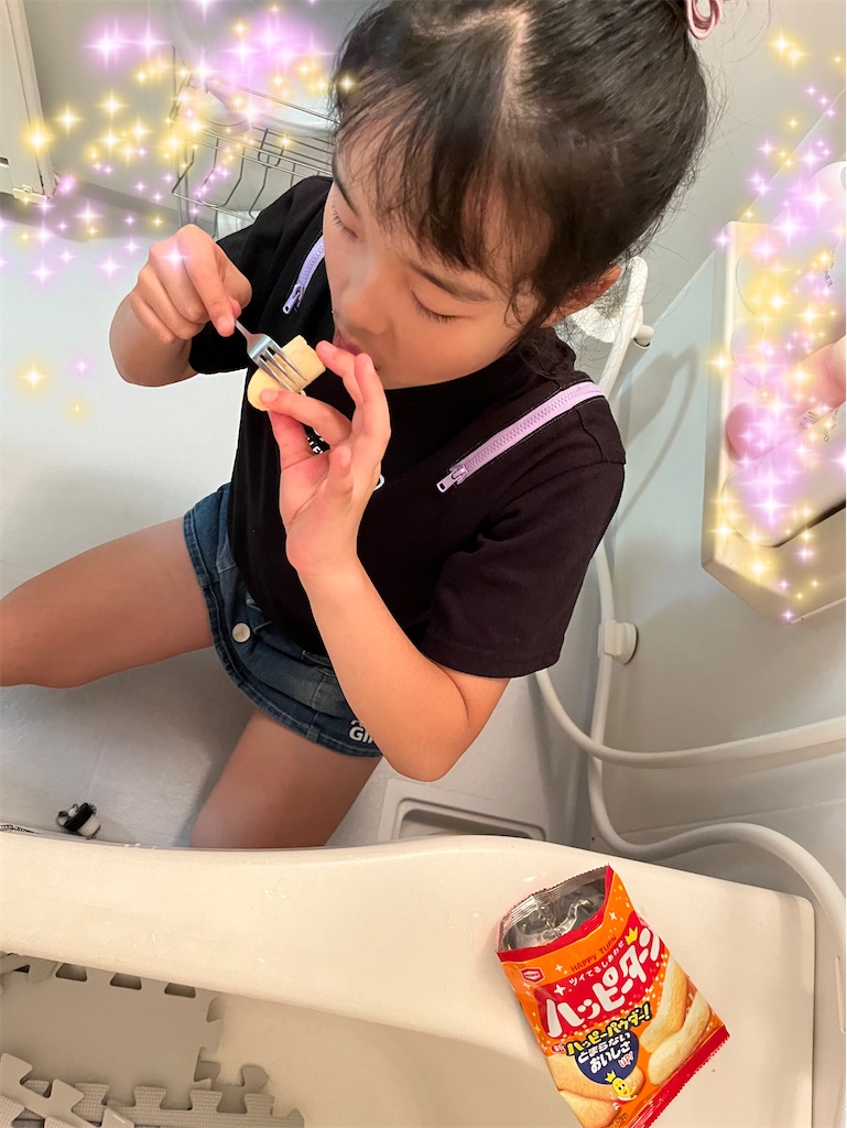 f:id:aohana:20240805100154j:image