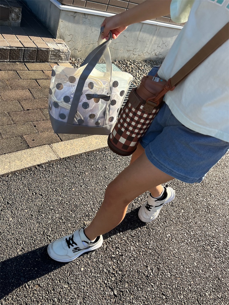 f:id:aohana:20240906154522j:image
