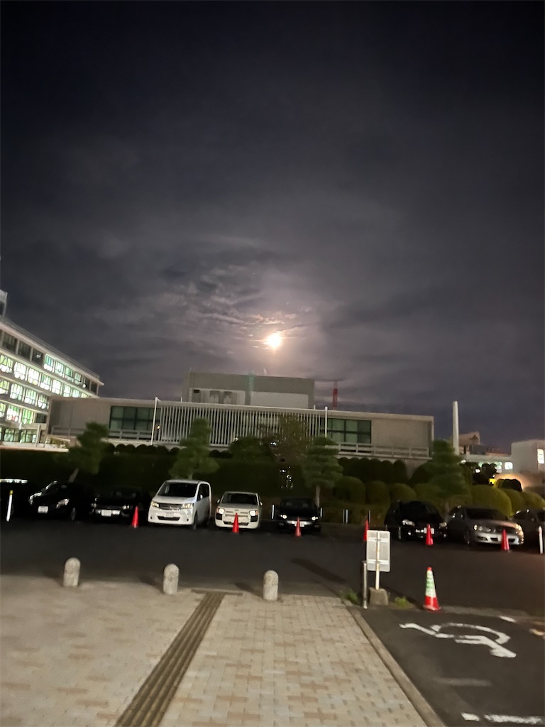 f:id:aohana:20240922001835j:image