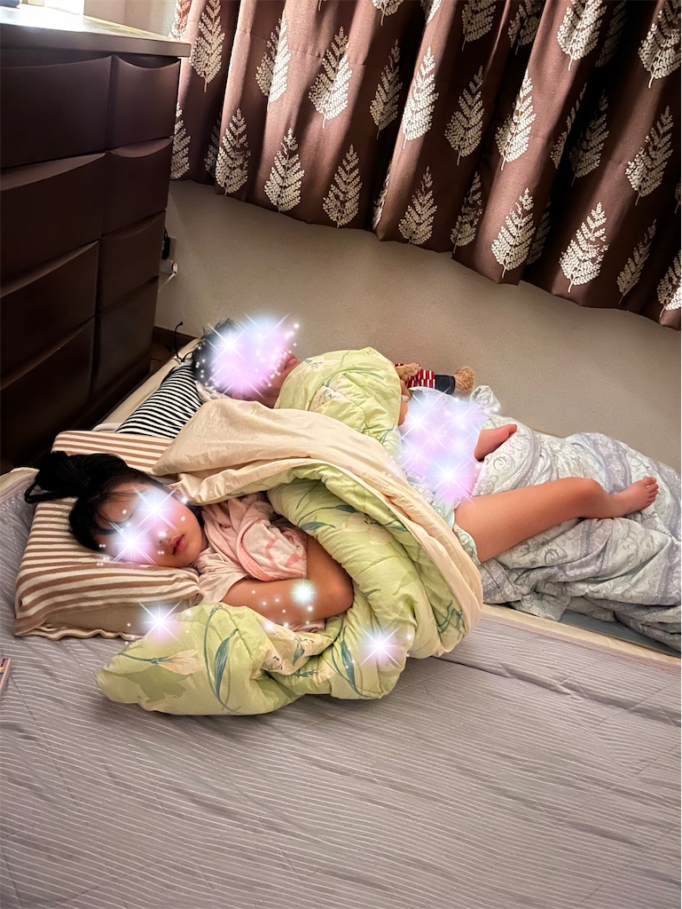 f:id:aohana:20241015142755j:image