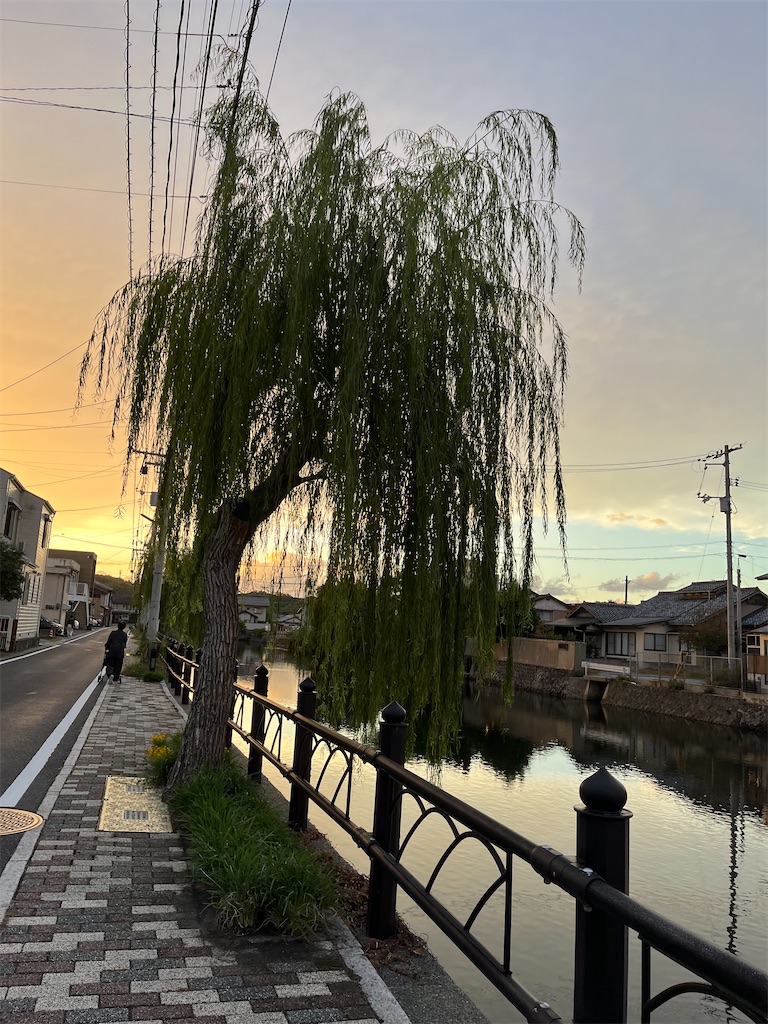 f:id:aohana:20241026113435j:image f:id:aohana:20241026113435j:image