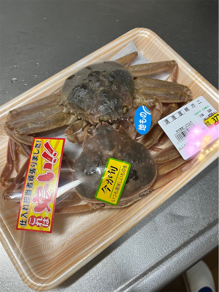 f:id:aohana:20241123172030j:image