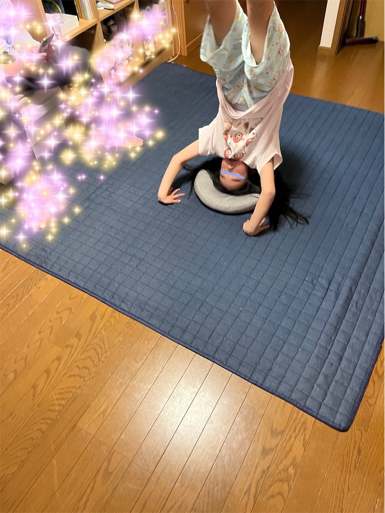 f:id:aohana:20241123172305j:image
