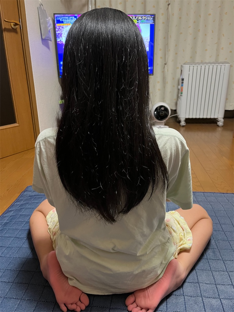 f:id:aohana:20241202134236j:image