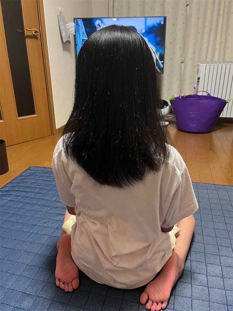 f:id:aohana:20241209205130j:image