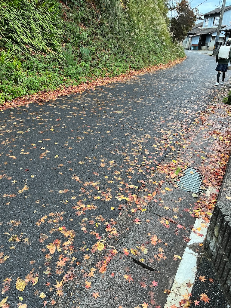 f:id:aohana:20241219160213j:image