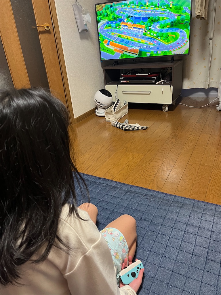 f:id:aohana:20241225143208j:image