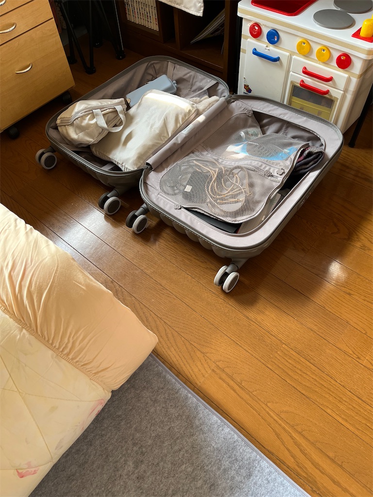 f:id:aohana:20241231205203j:image