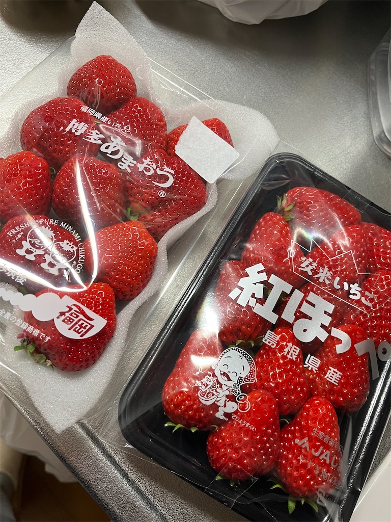 f:id:aohana:20250315222151j:image f:id:aohana:20250315222151j:image