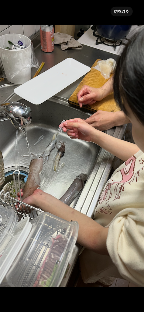 f:id:aohana:20250415225725p:image