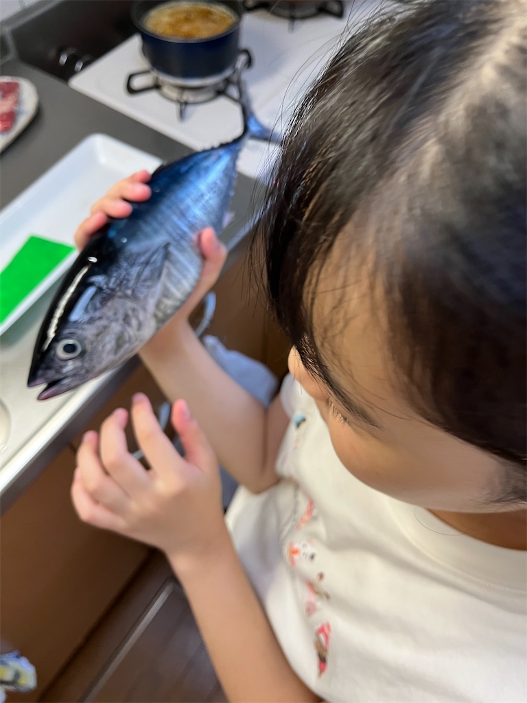 f:id:aohana:20250906233319j:image