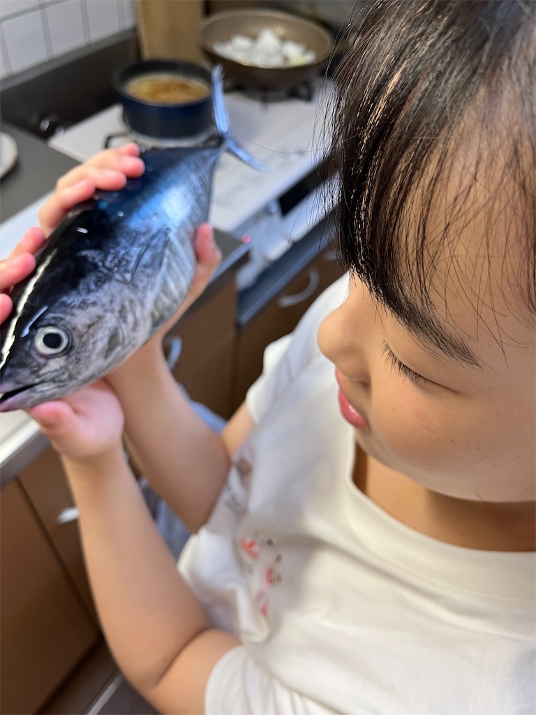 f:id:aohana:20250906233323j:image
