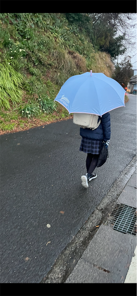 f:id:aohana:20260108112949p:image