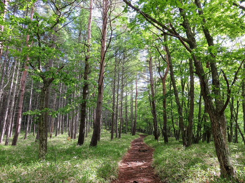 観音平から青年小屋までの登山ルート