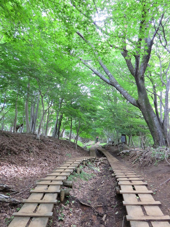大倉尾根は登山者でお祭り