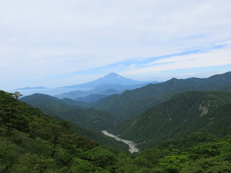 神奈川とは思えない景色