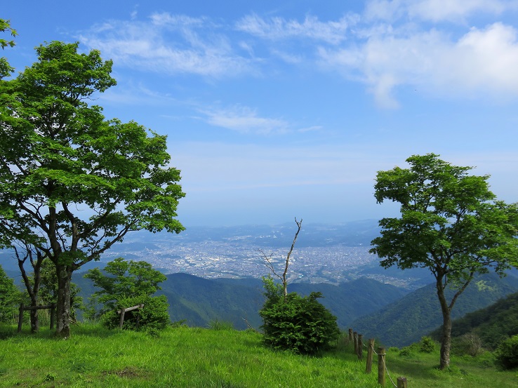鍋割山山頂