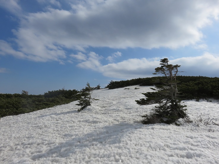 大弛峠方面残雪