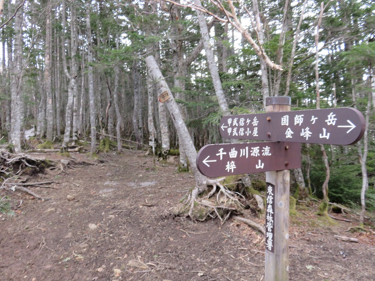 千曲川源流と甲武信ヶ岳の分岐